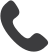 Phone Icon